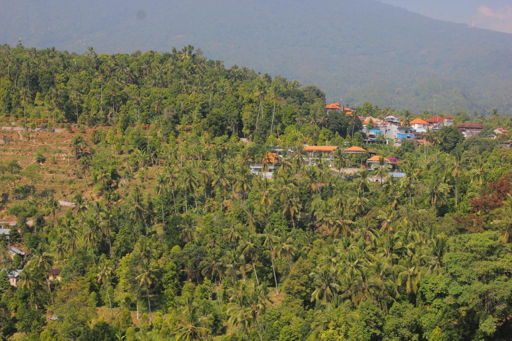 Rostika Hotel Sekumpul Buleleng  ภายนอก รูปภาพ